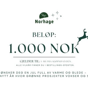 Gavekort på 1000 kroner