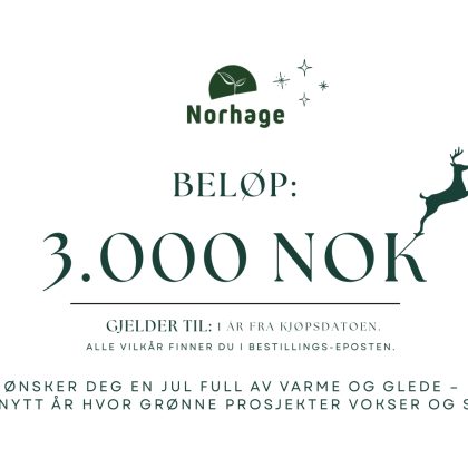 Gavekort på 3000 kroner
