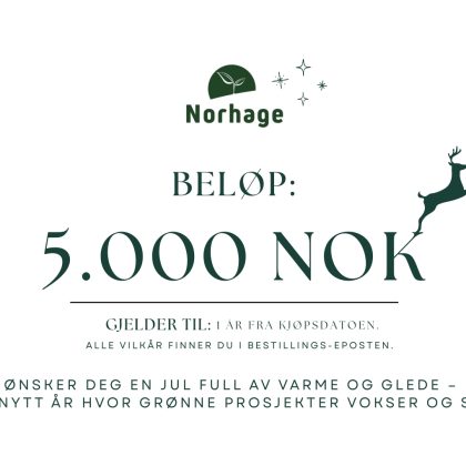 Gavekort på 5000 kroner