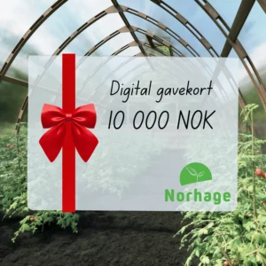 Digitalt gavekort – 10 000 NOK