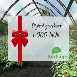 Digitalt gavekort – 1 000 NOK