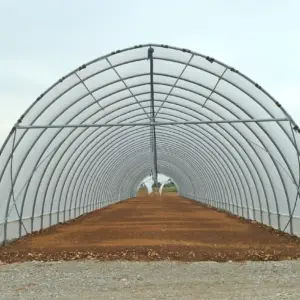 Tunnel drivhus system